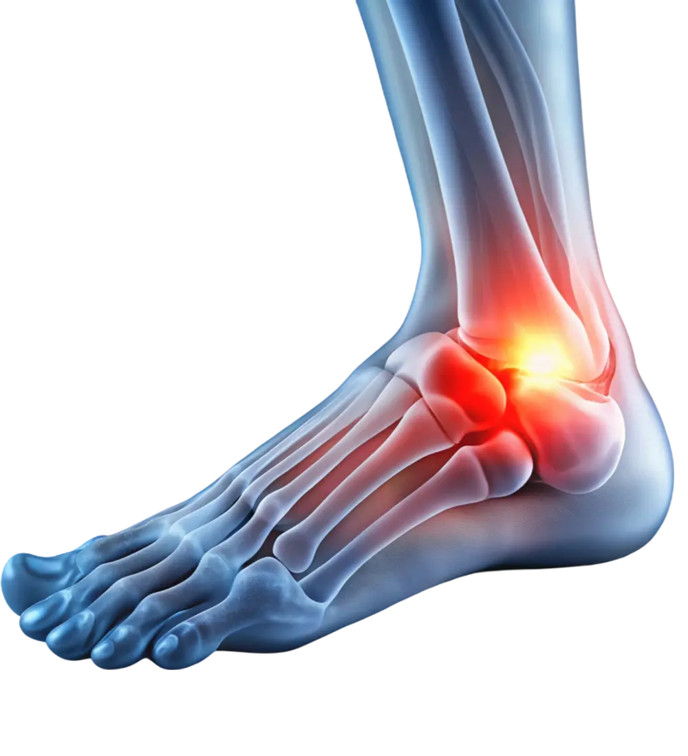 Foot and ankle course visual